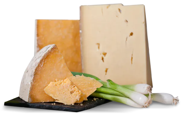 Gourmet Cheese of the Month Club - Cheese Subscription Box Clubs